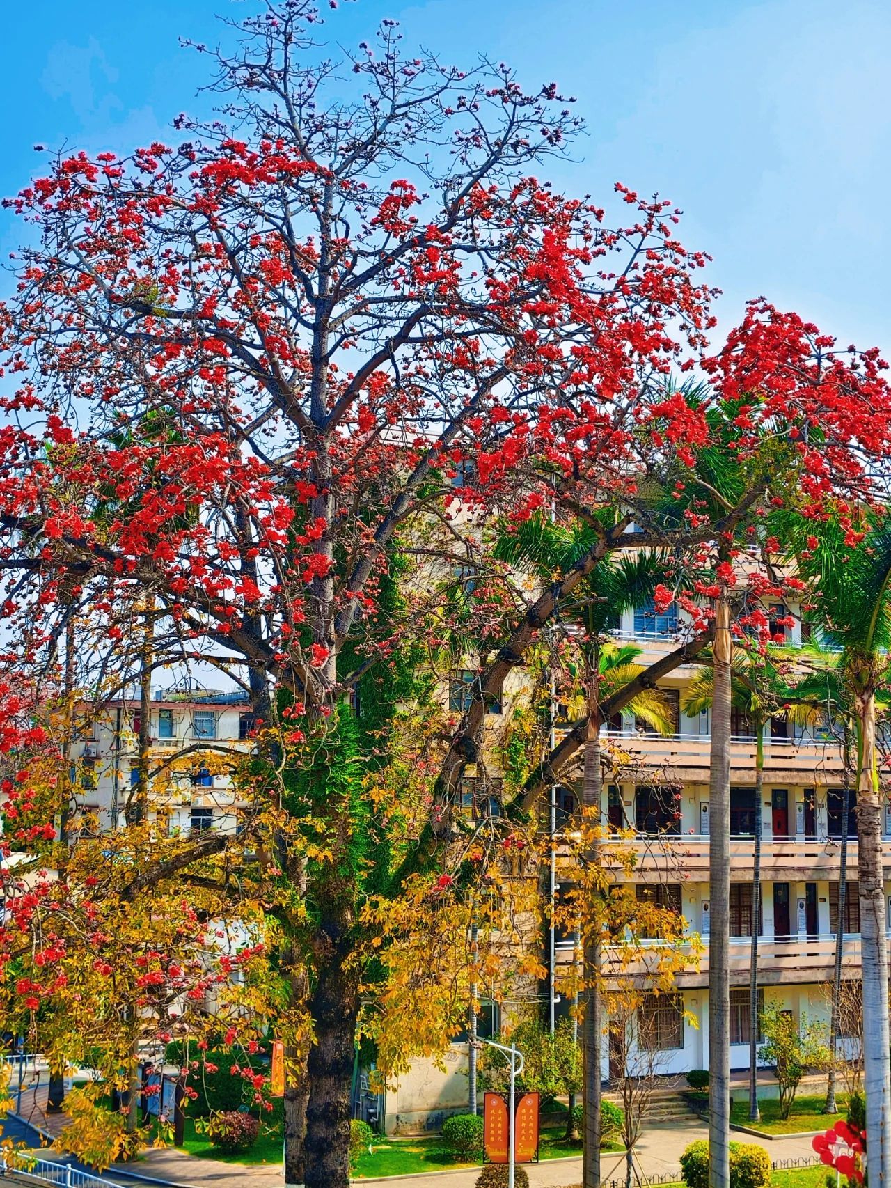 77779193永利集团