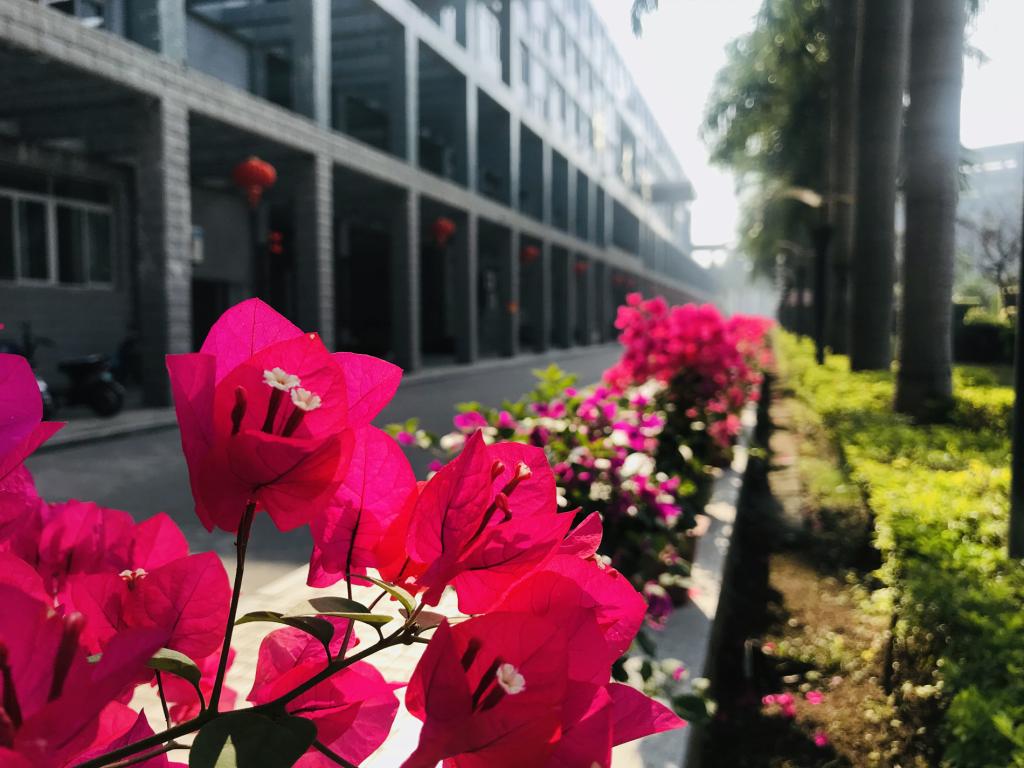 77779193永利集团