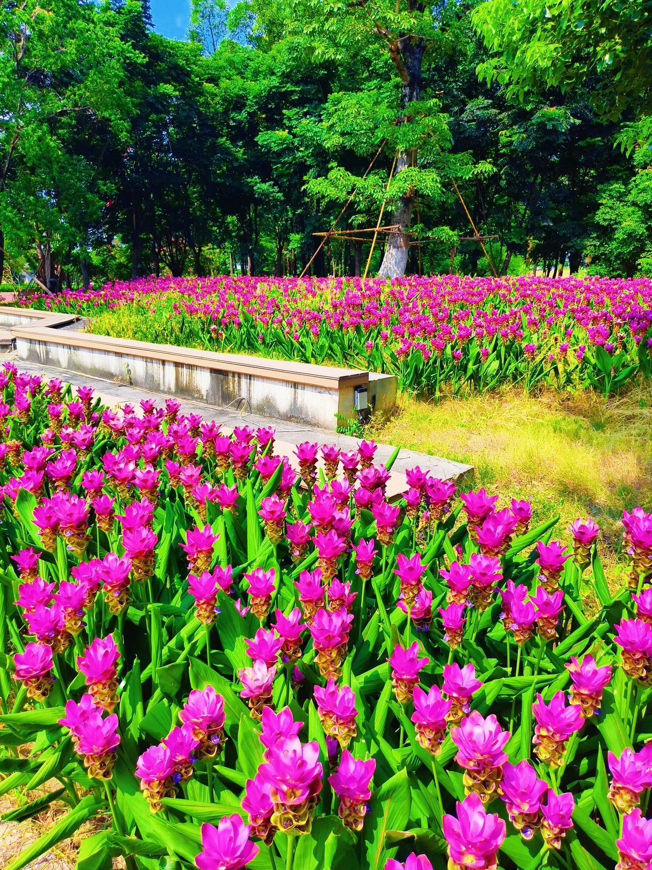 77779193永利集团