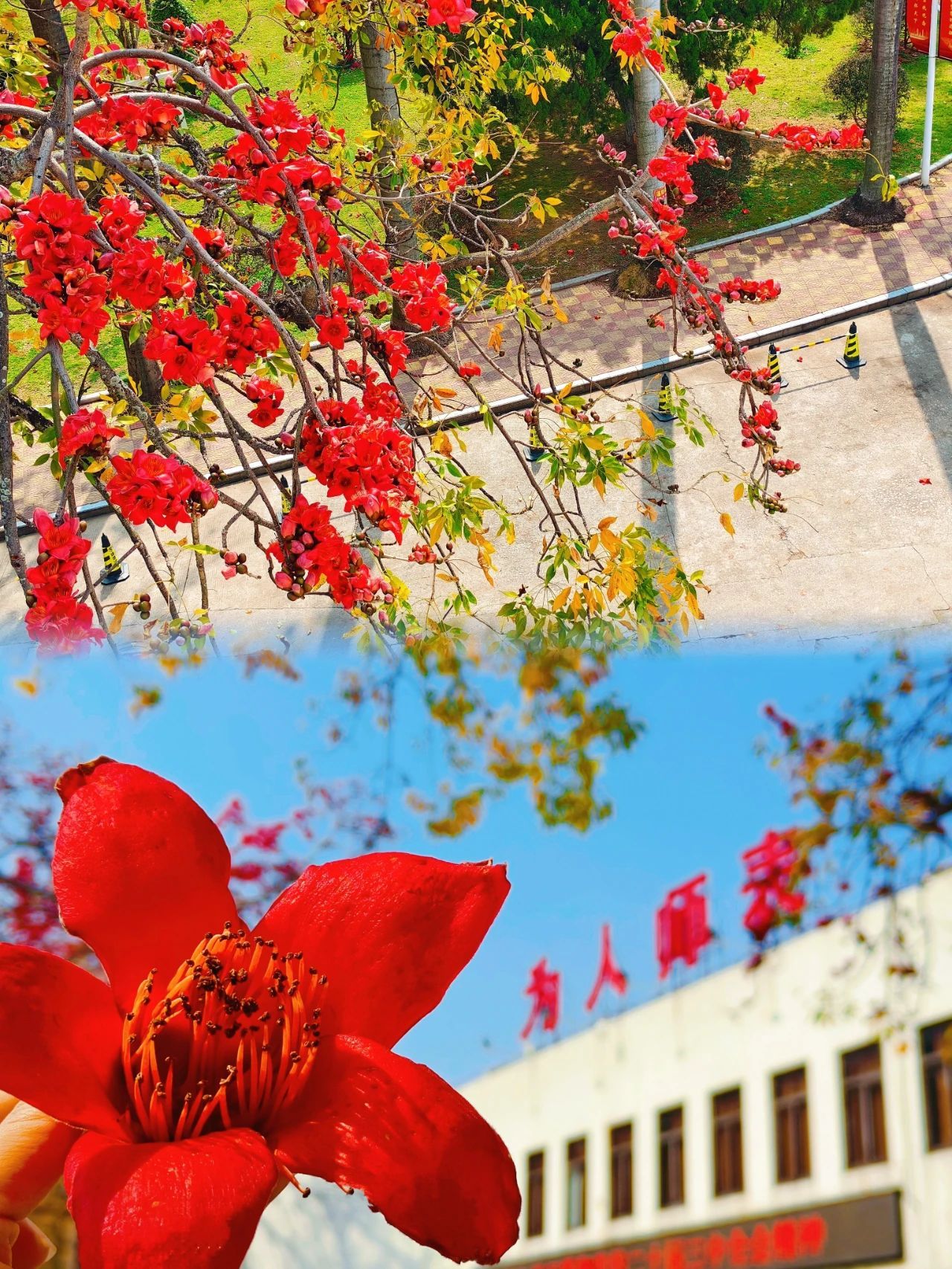 77779193永利集团