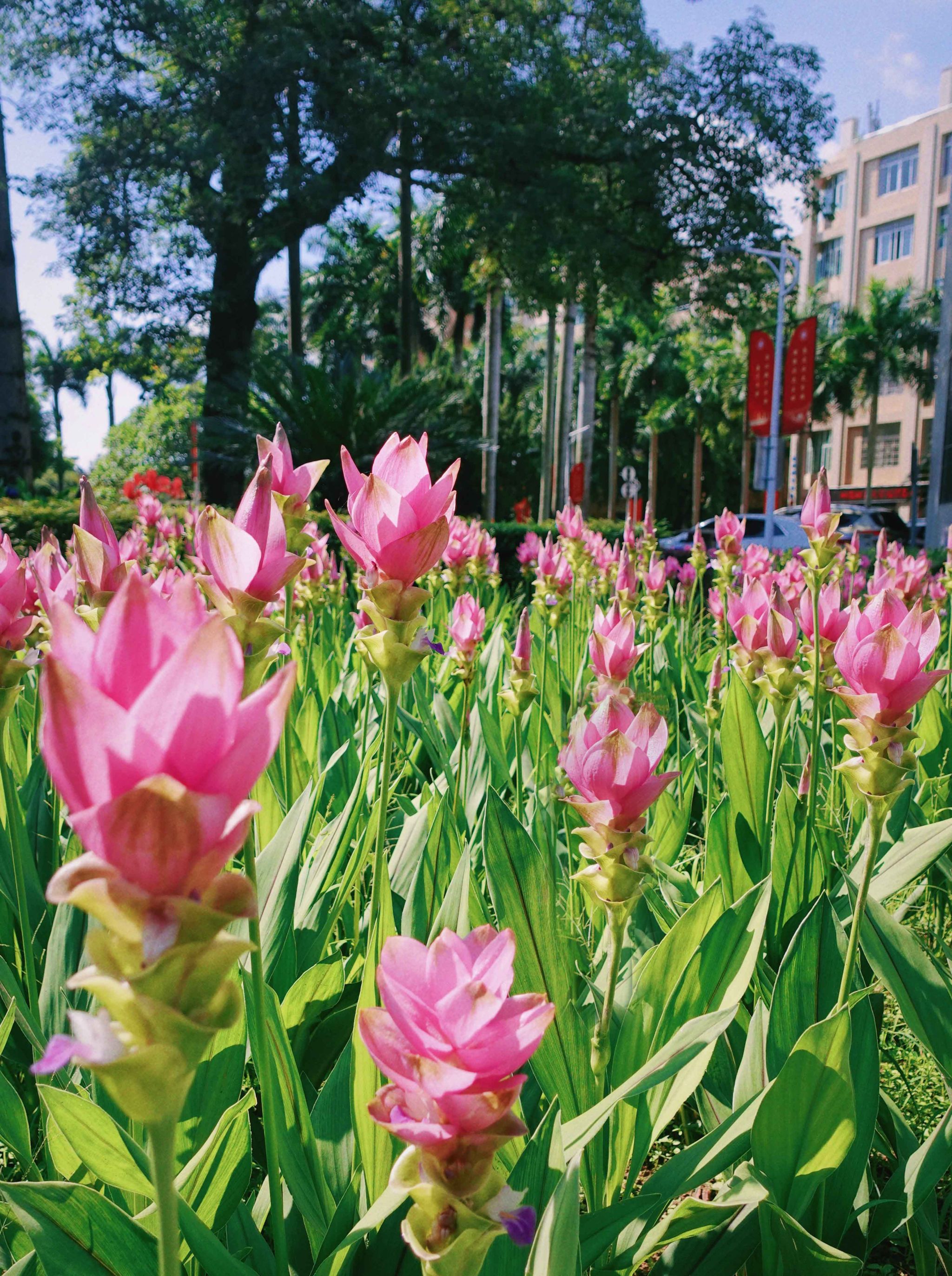 77779193永利集团