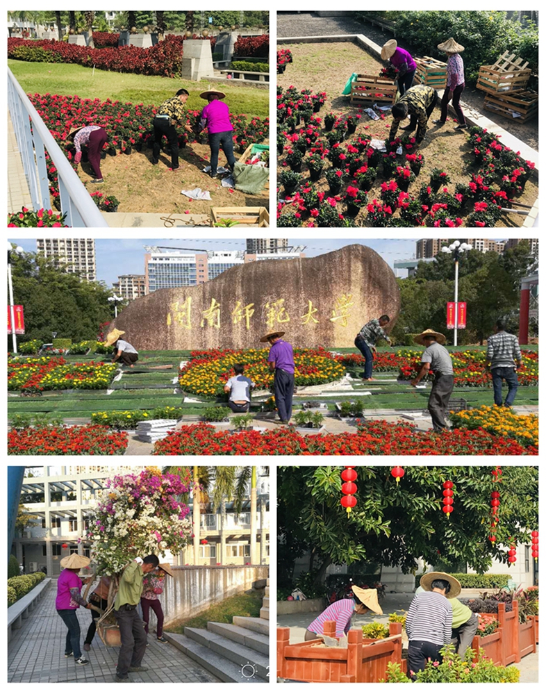 77779193永利集团