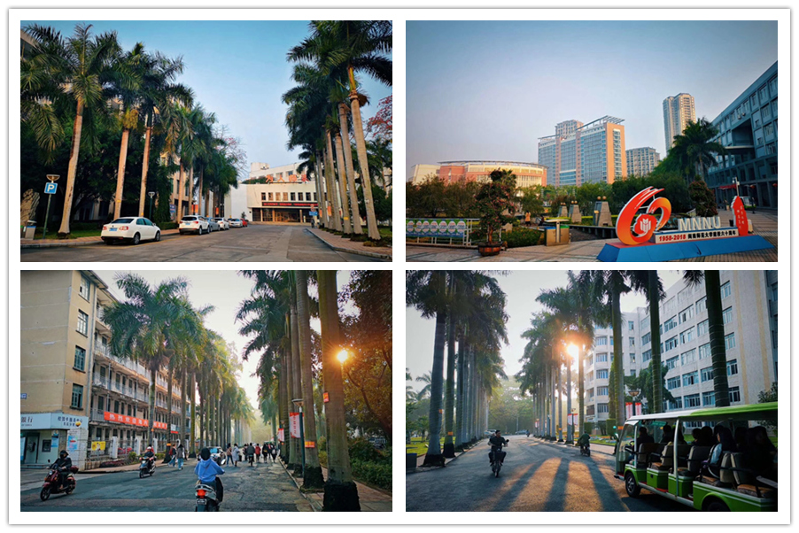 77779193永利集团