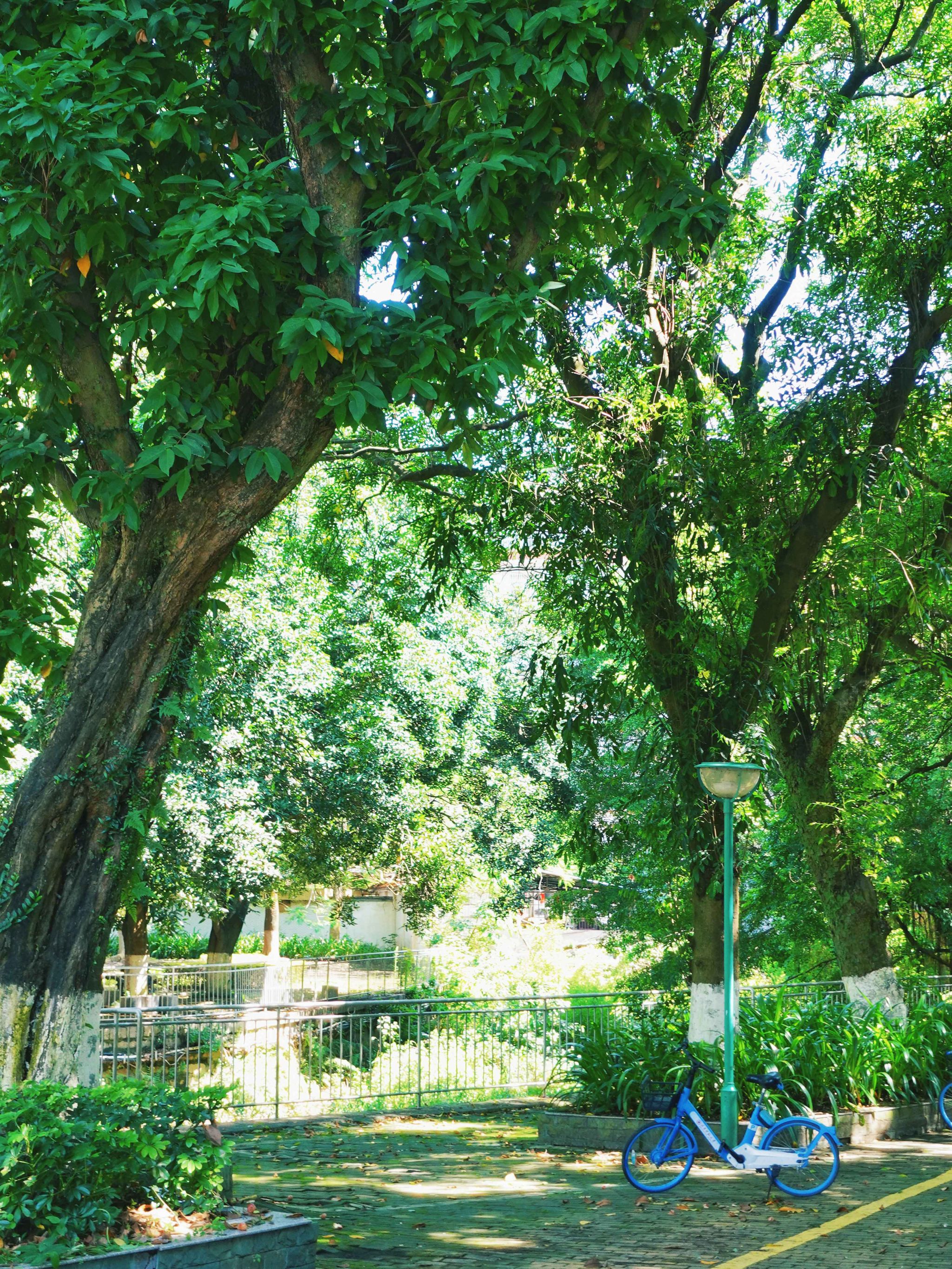 77779193永利集团