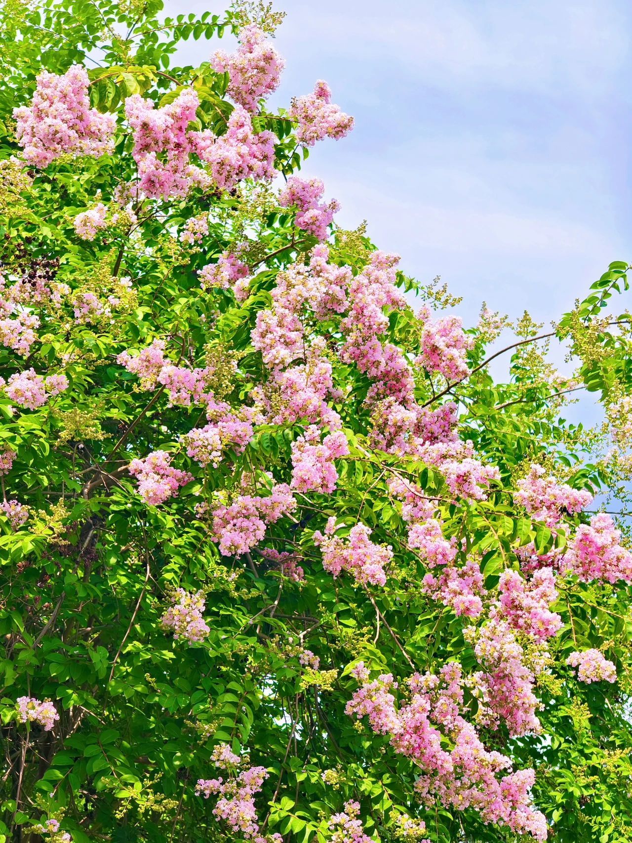 77779193永利集团