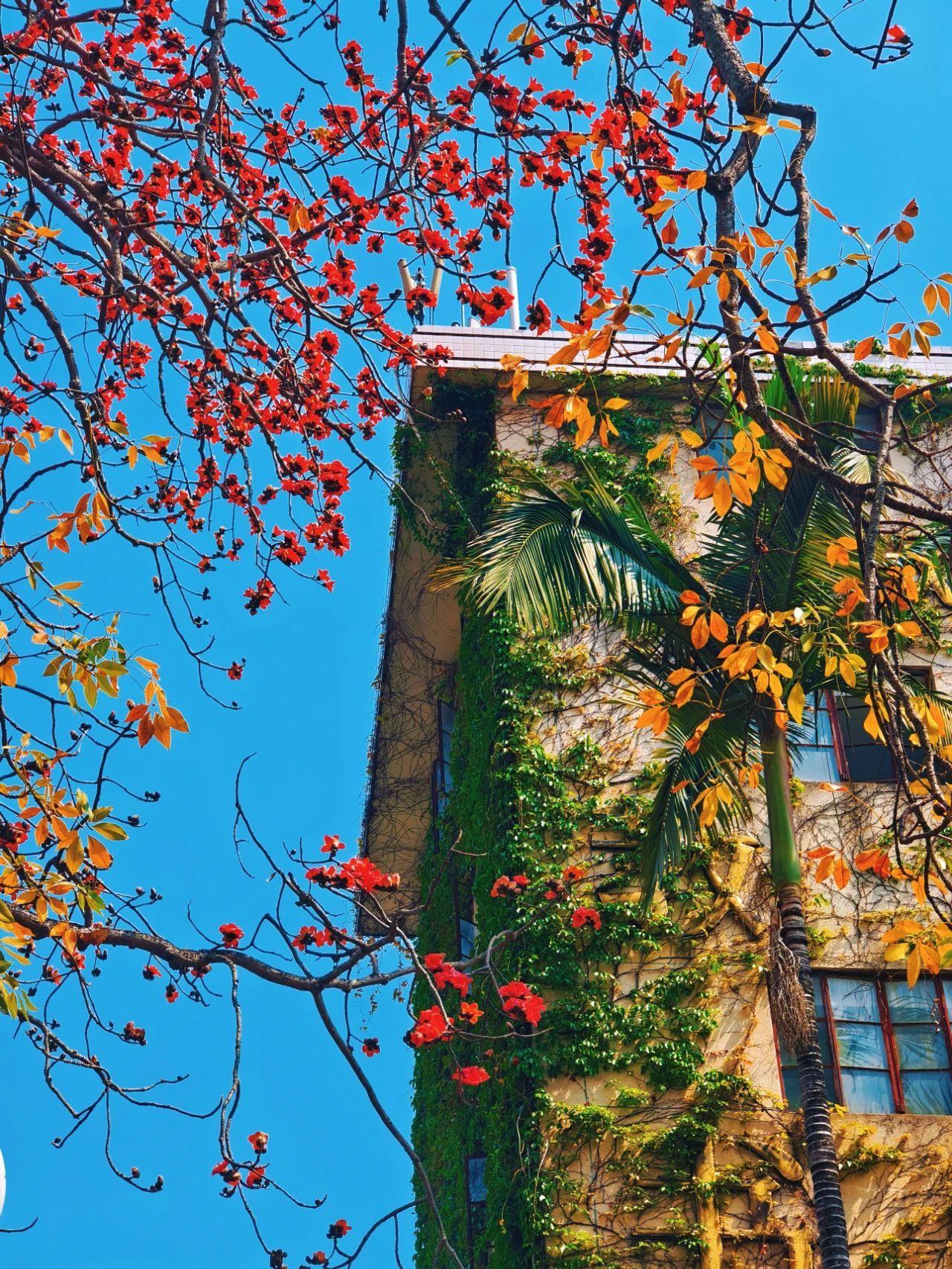 77779193永利集团