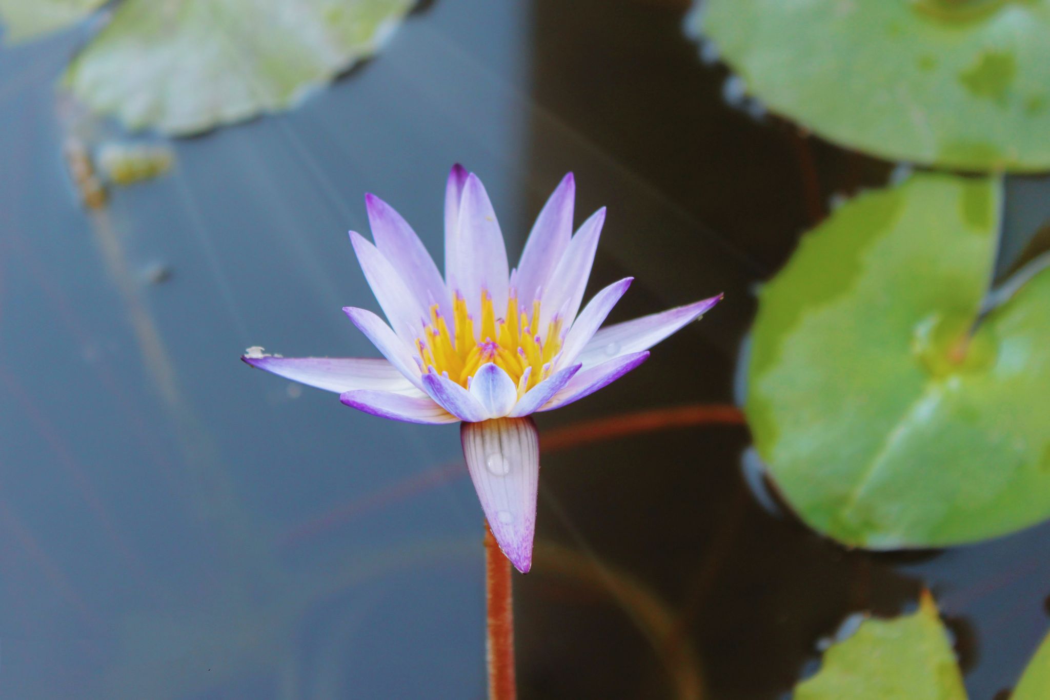 77779193永利集团