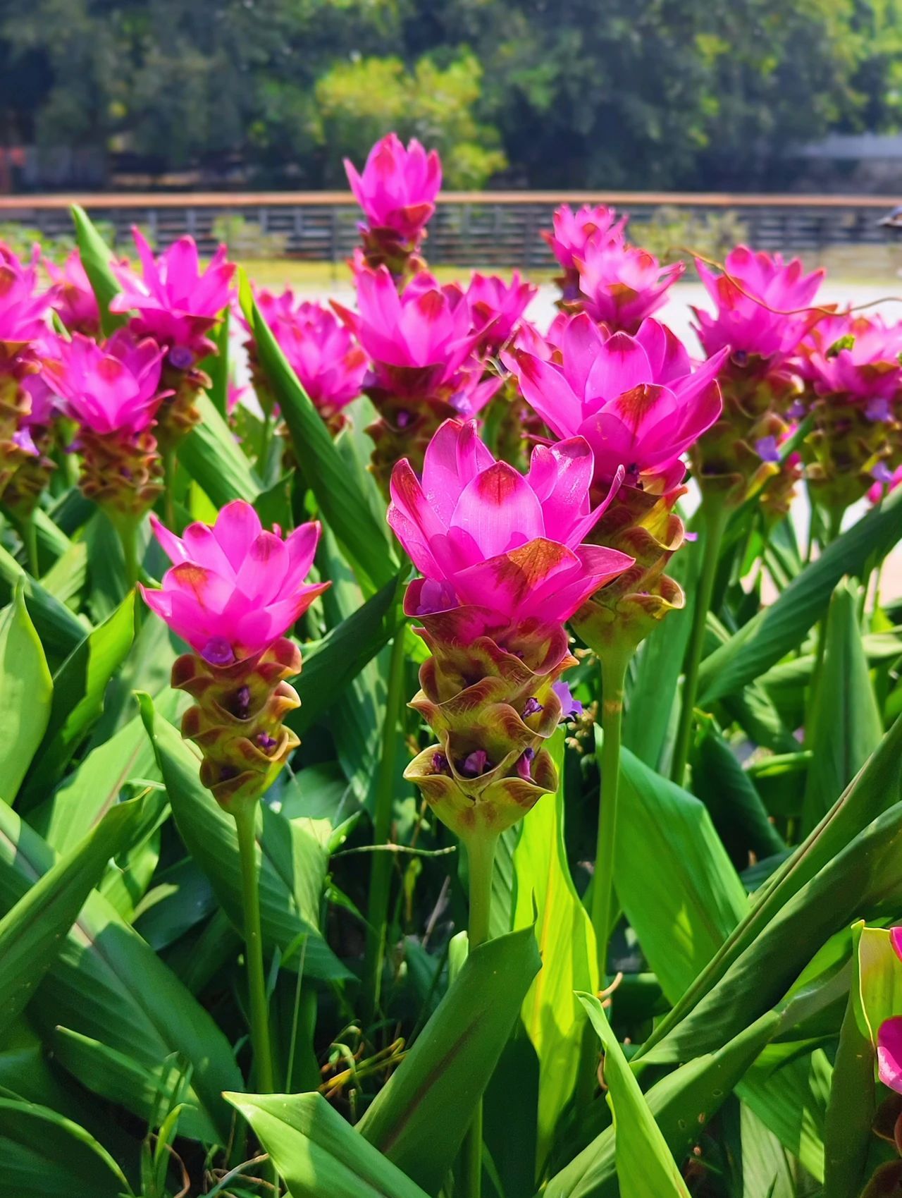 77779193永利集团