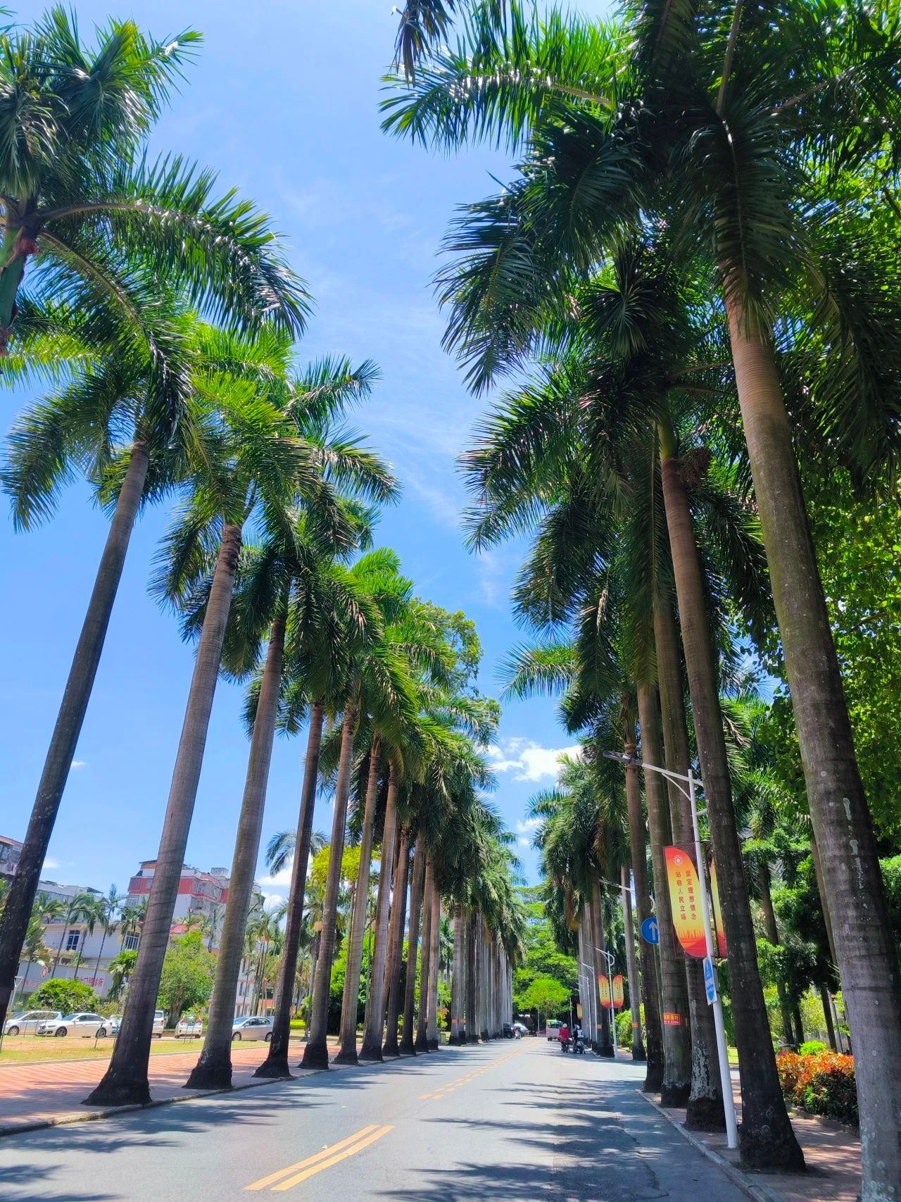 77779193永利集团