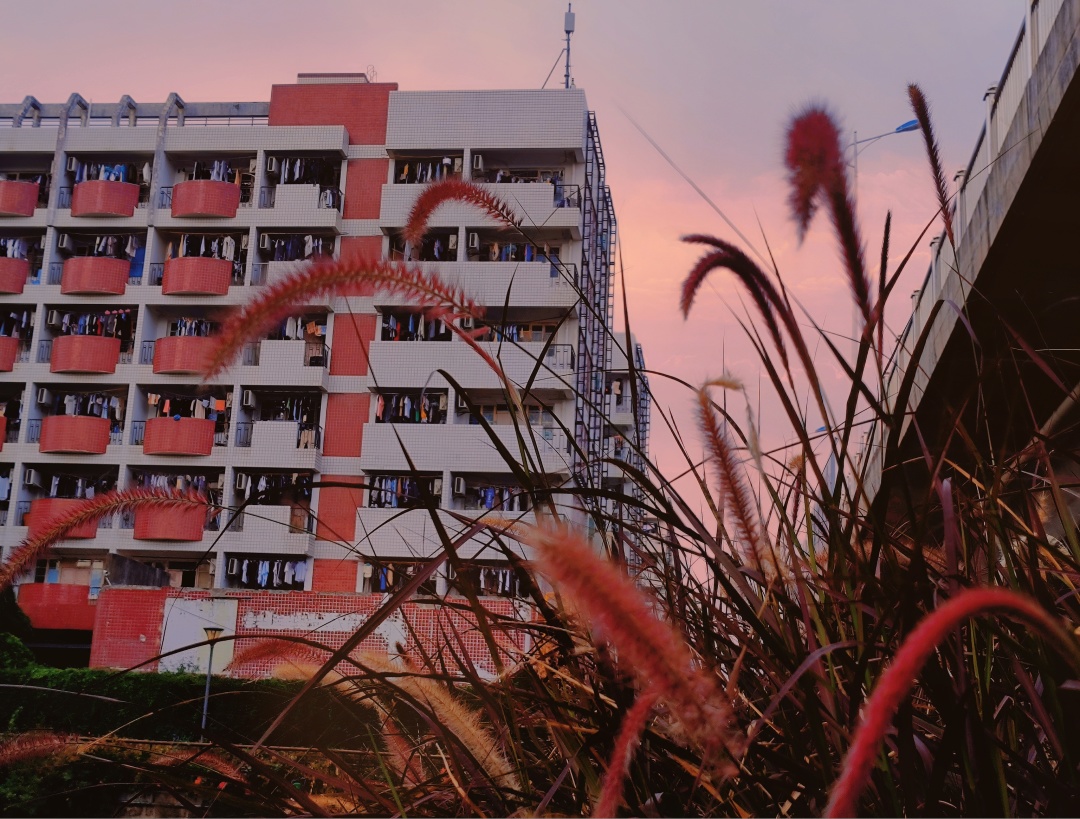 77779193永利集团