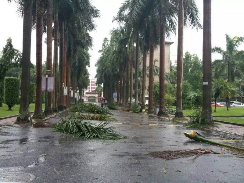 77779193永利集团