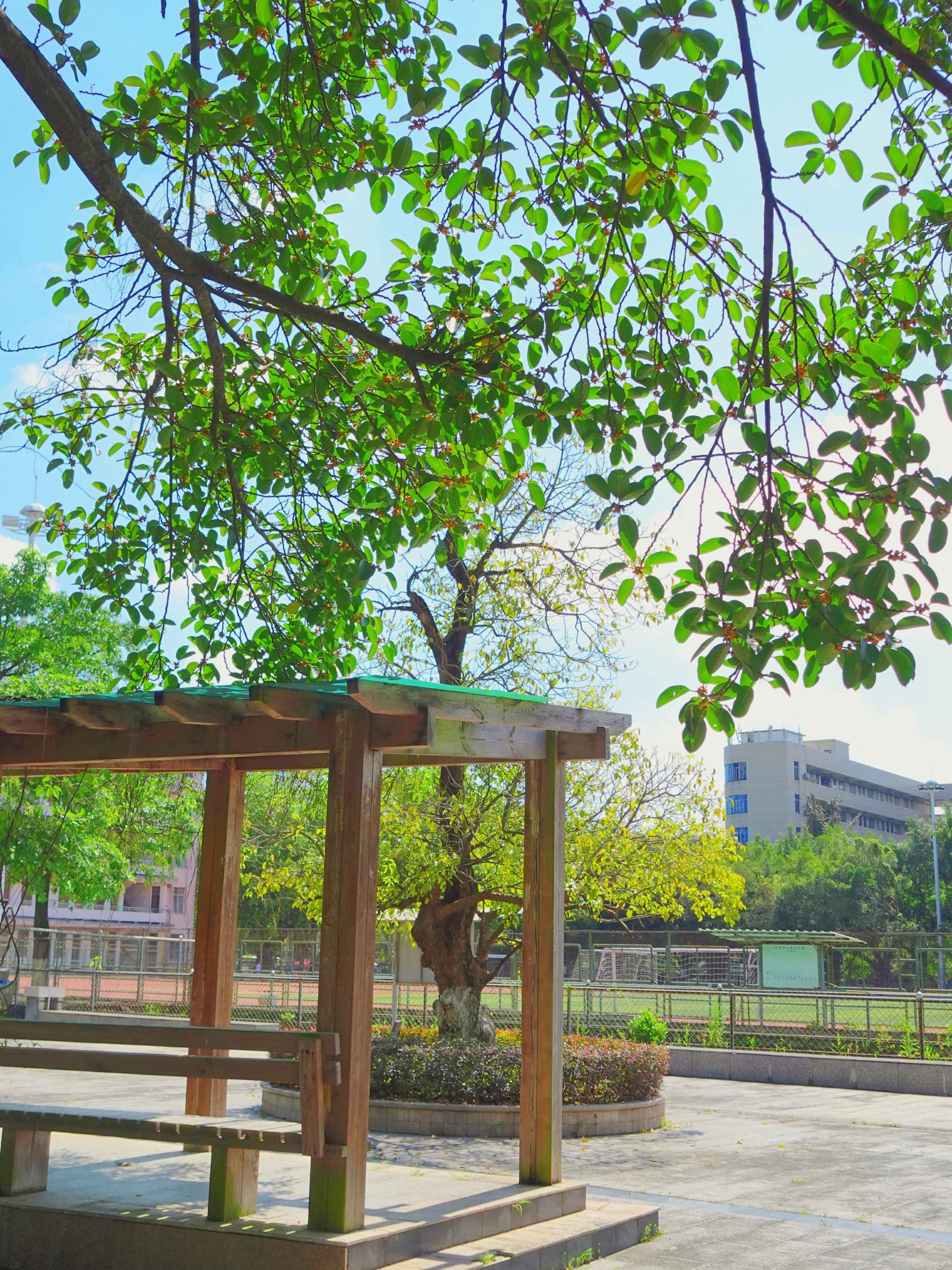 77779193永利集团