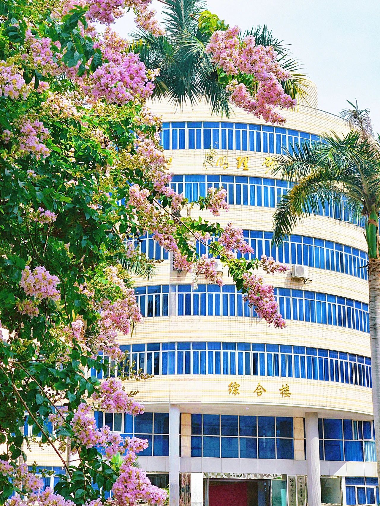 77779193永利集团