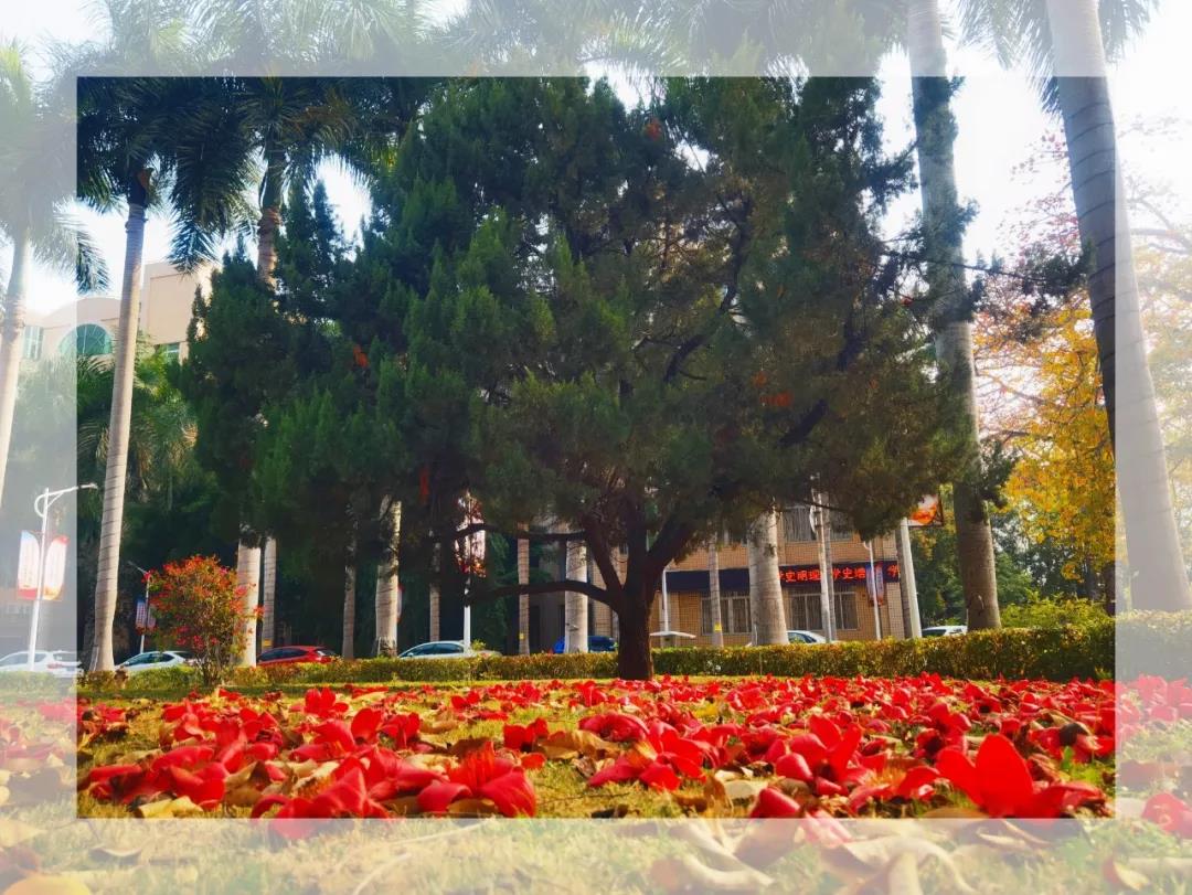 77779193永利集团