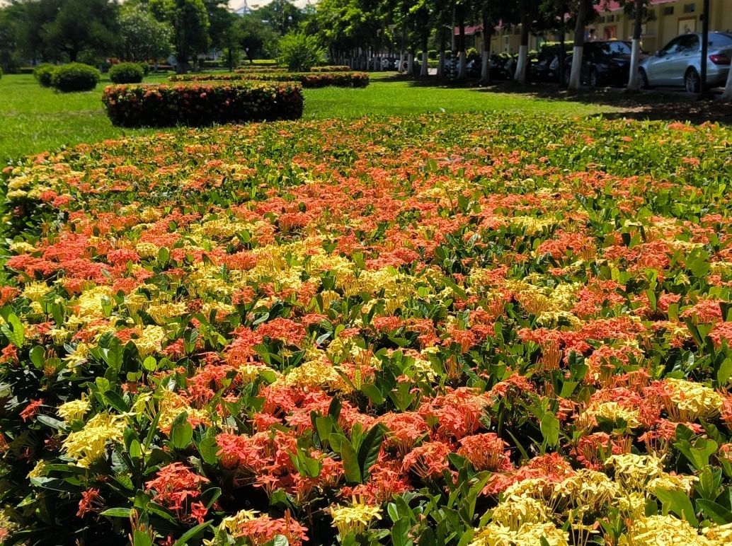 77779193永利集团