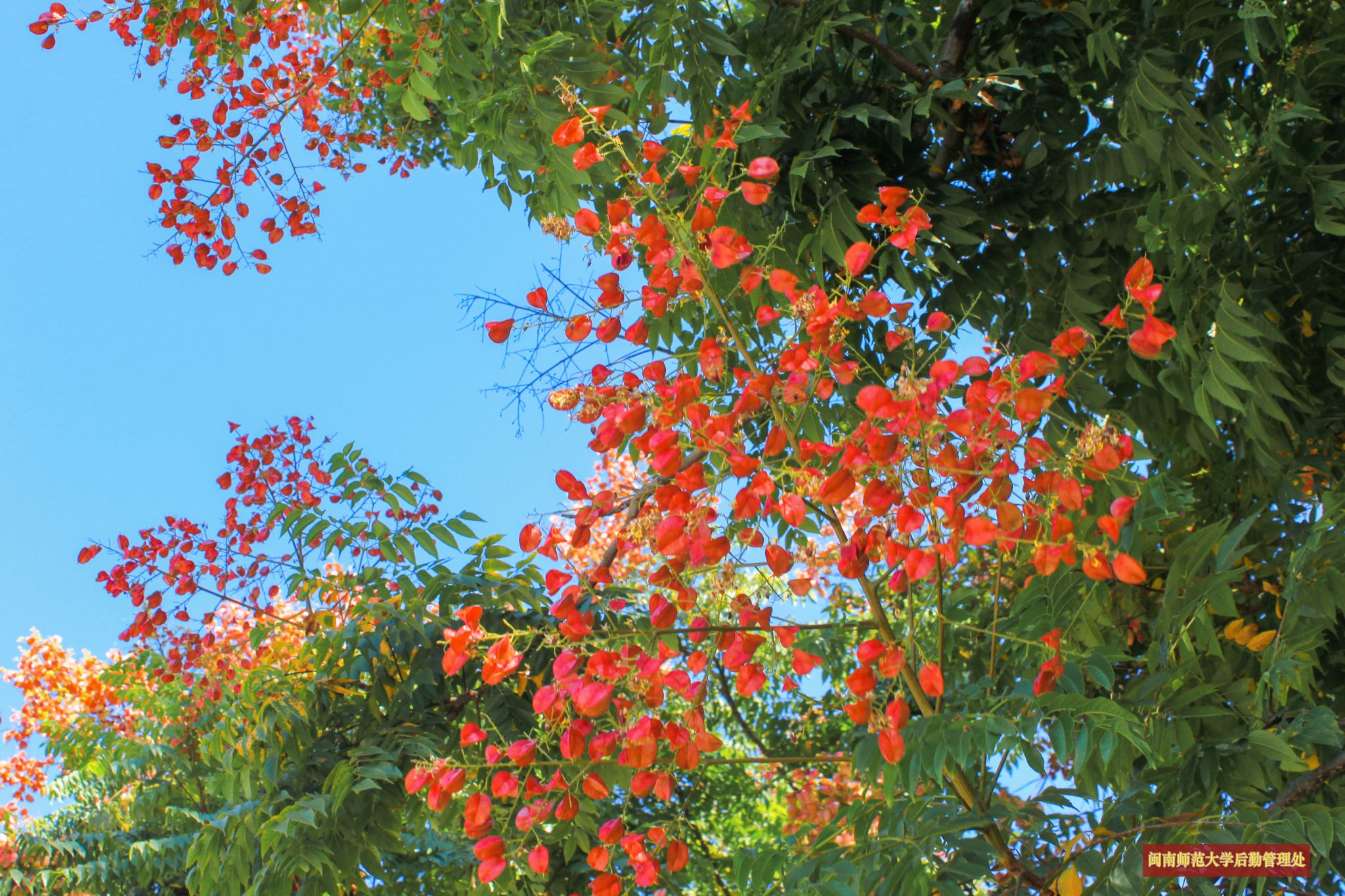 77779193永利集团