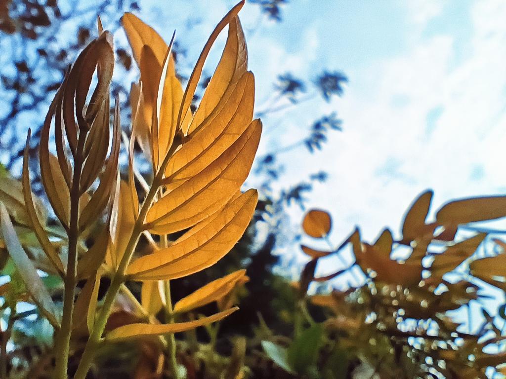 77779193永利集团