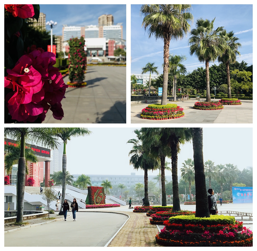 77779193永利集团