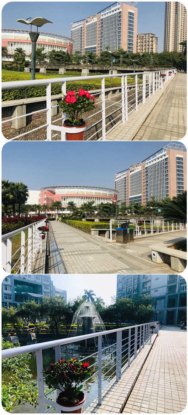 77779193永利集团