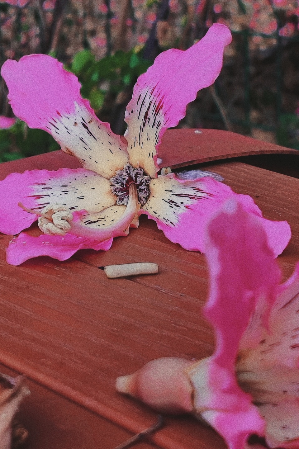 77779193永利集团