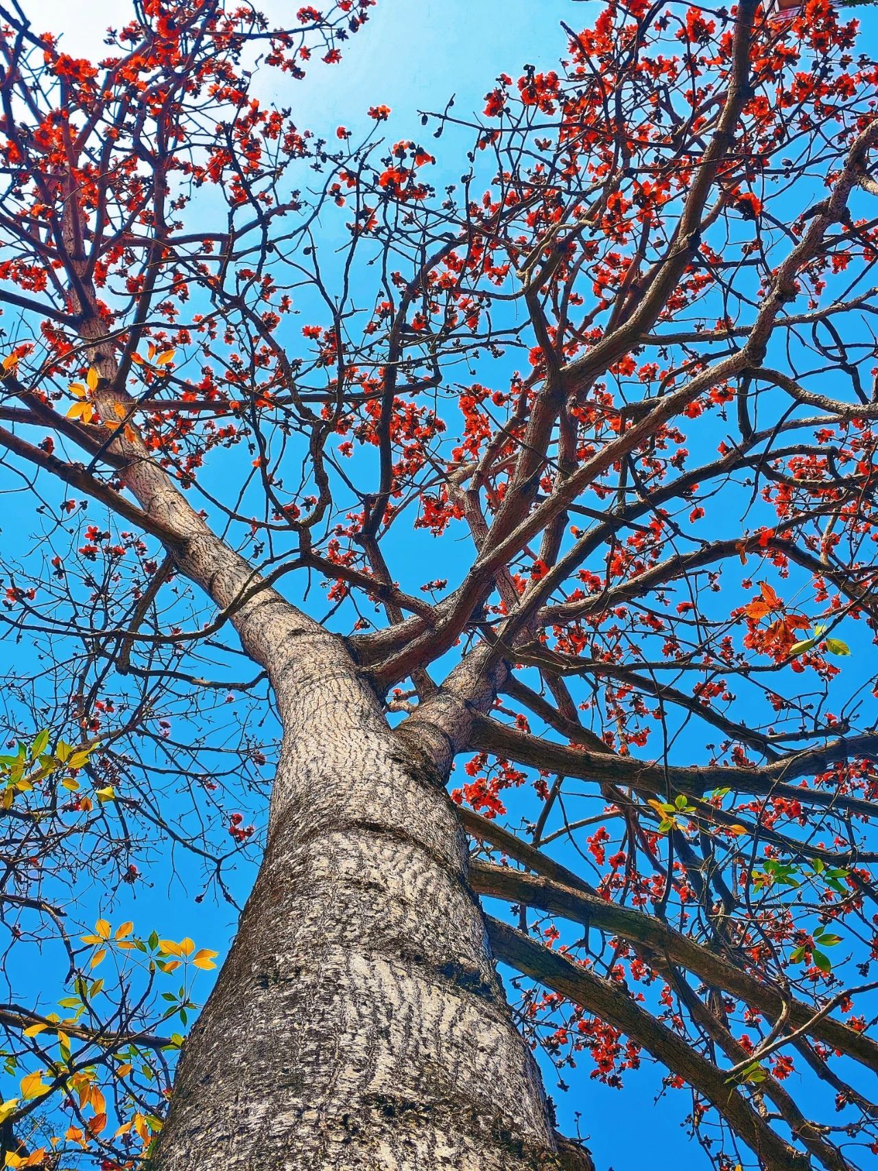 77779193永利集团