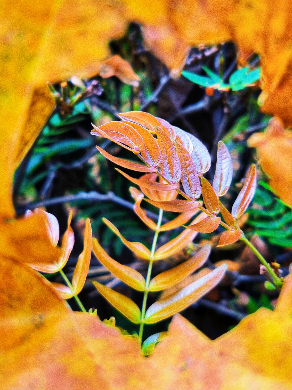 77779193永利集团