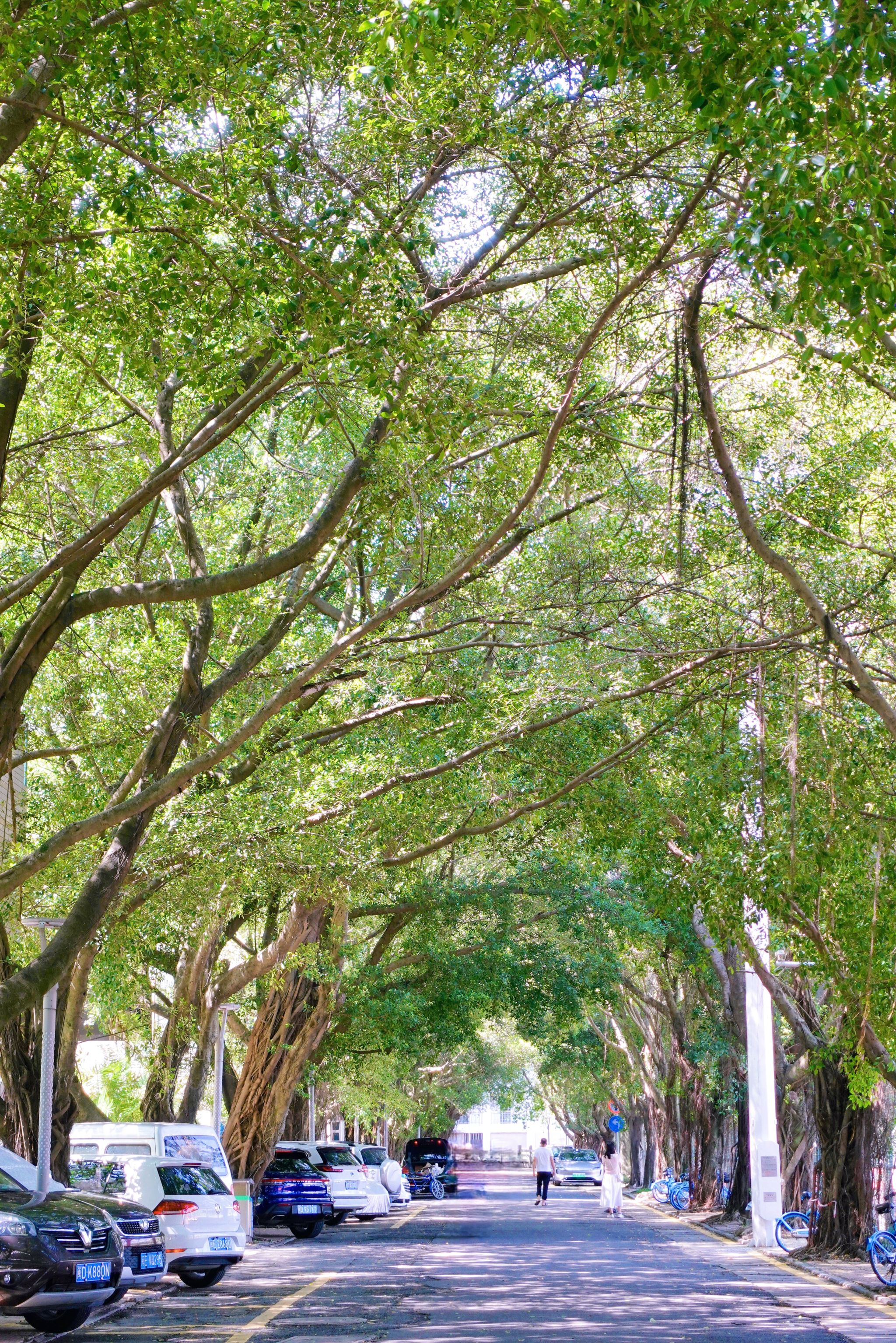 77779193永利集团