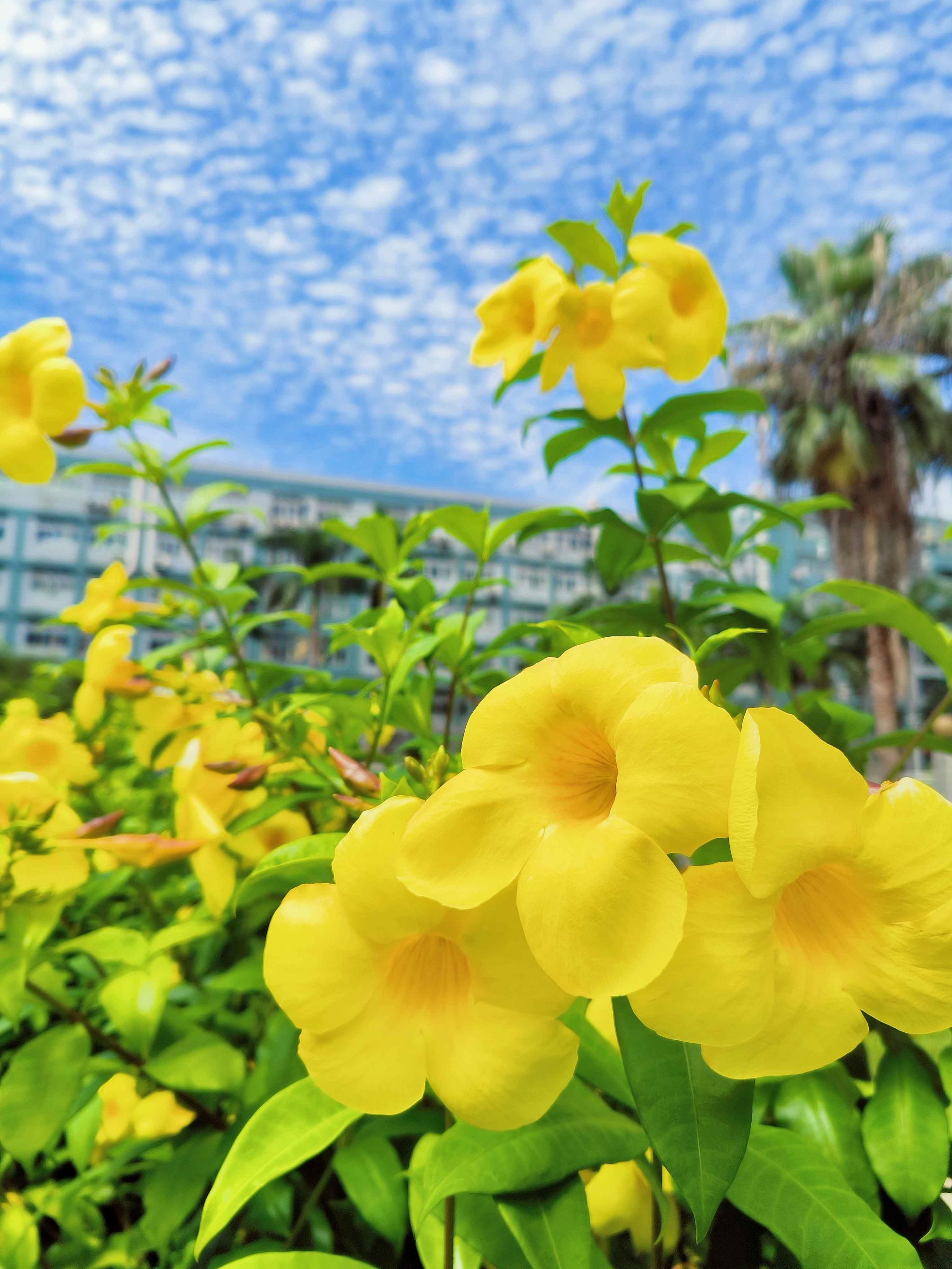 77779193永利集团