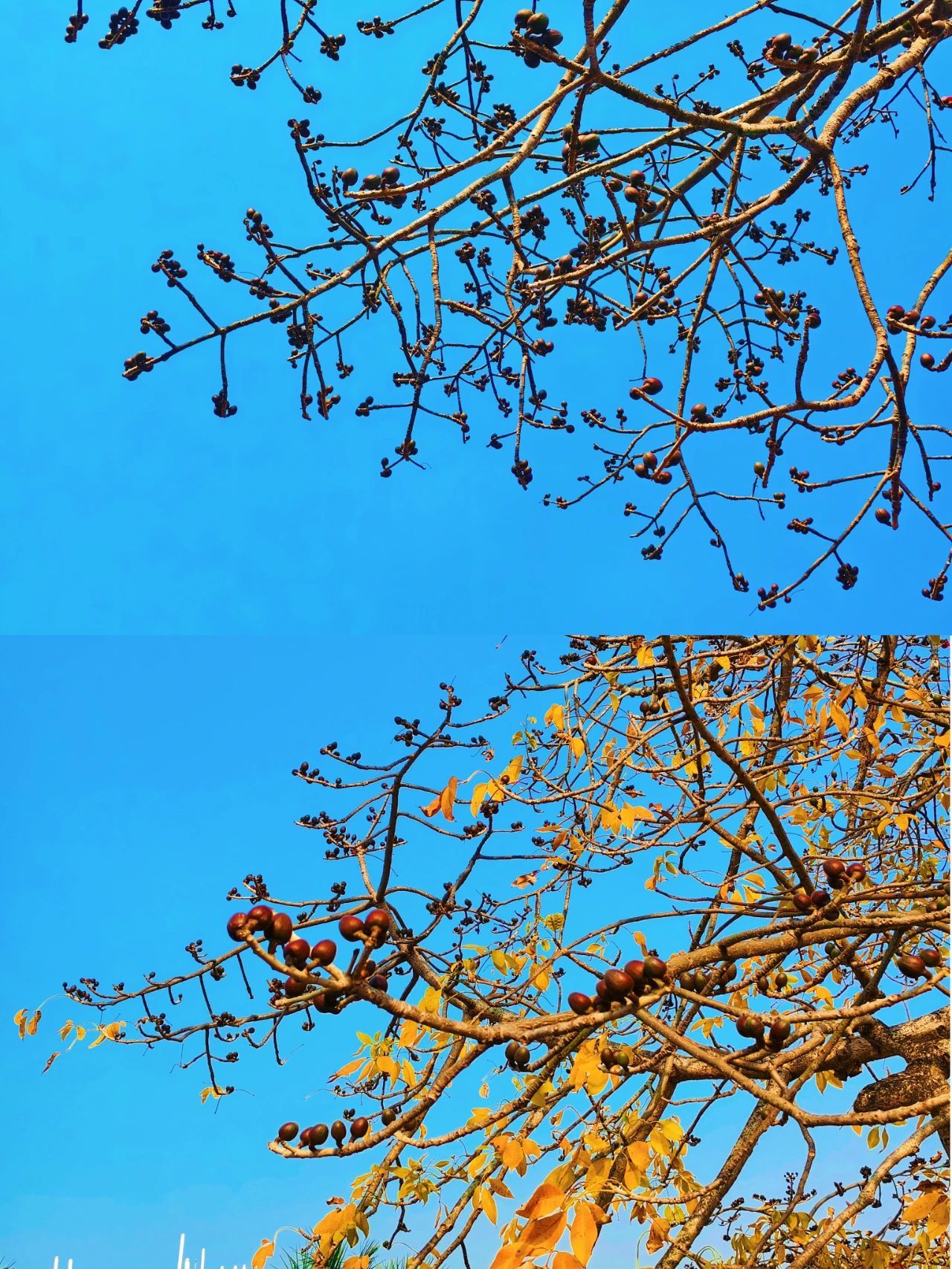 77779193永利集团