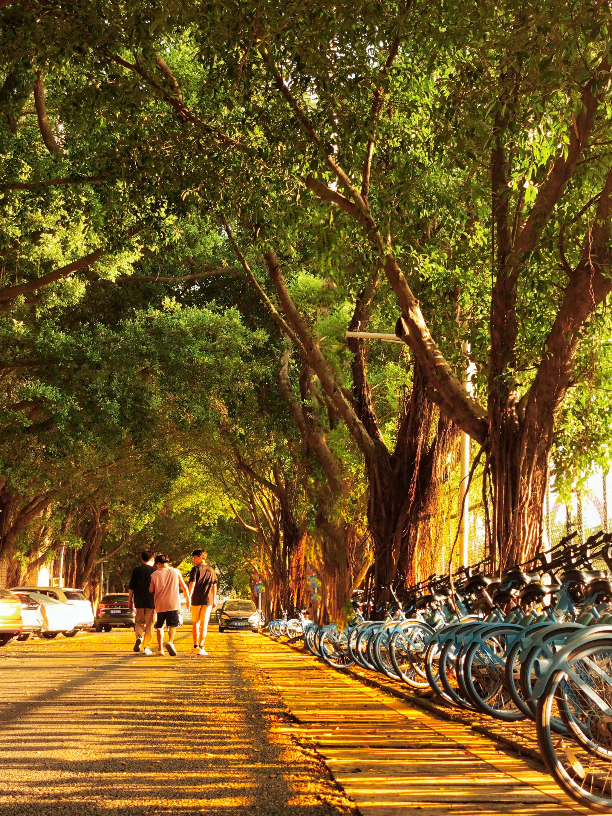 77779193永利集团