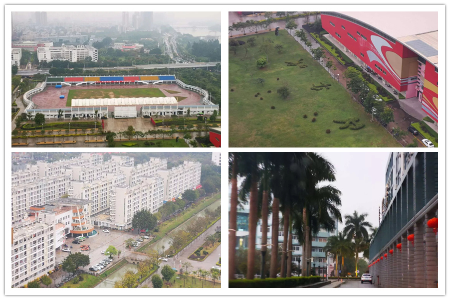 77779193永利集团