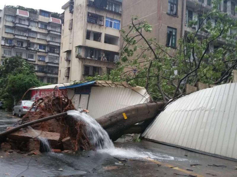 77779193永利集团