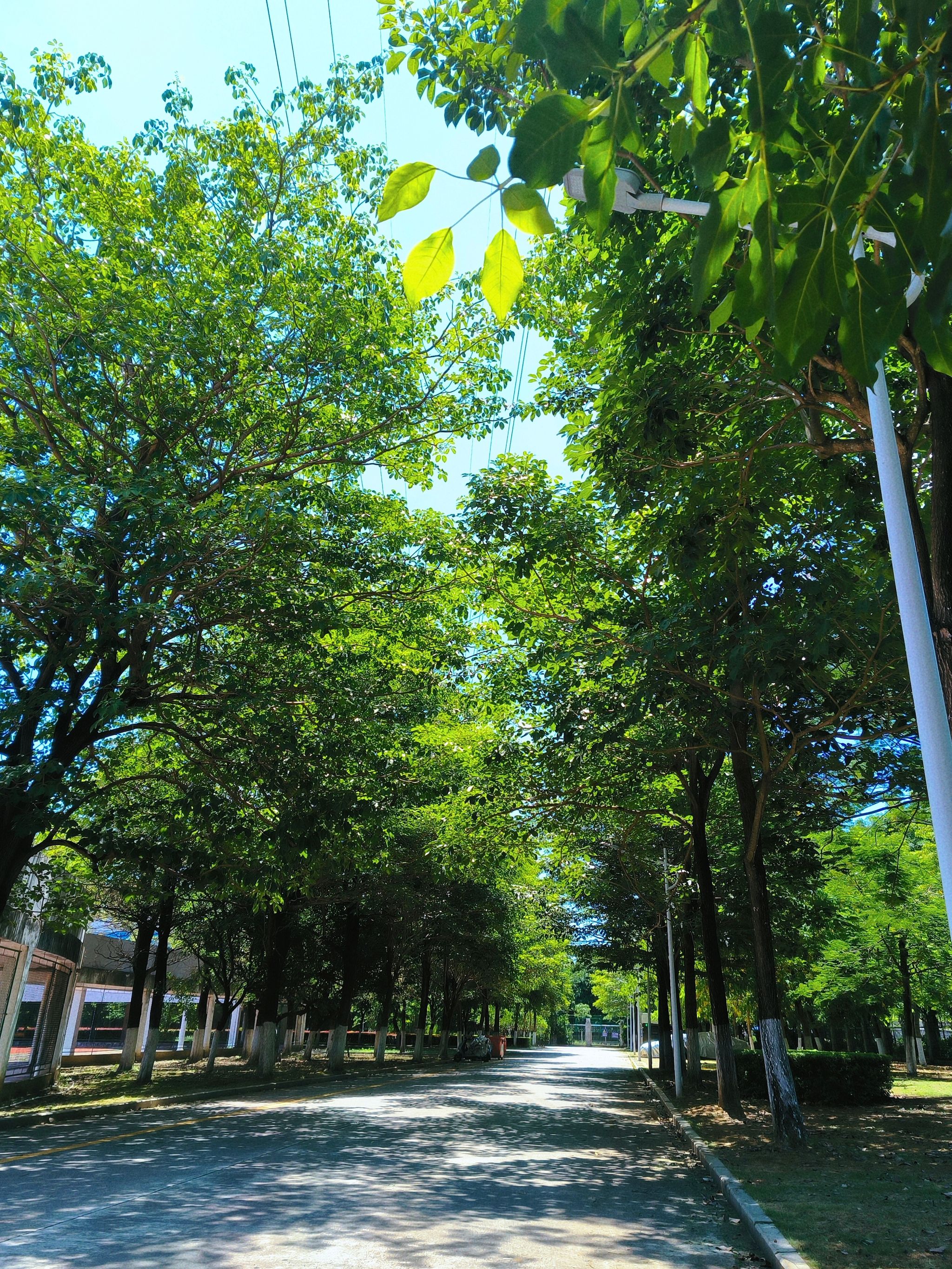 77779193永利集团