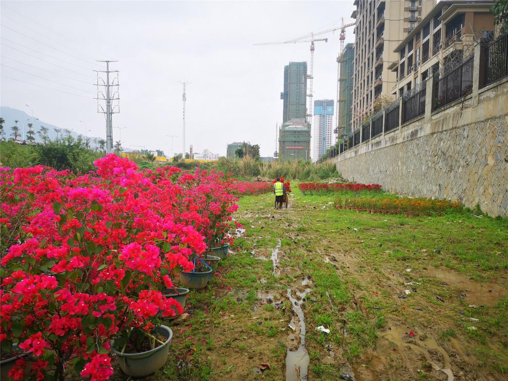 77779193永利集团