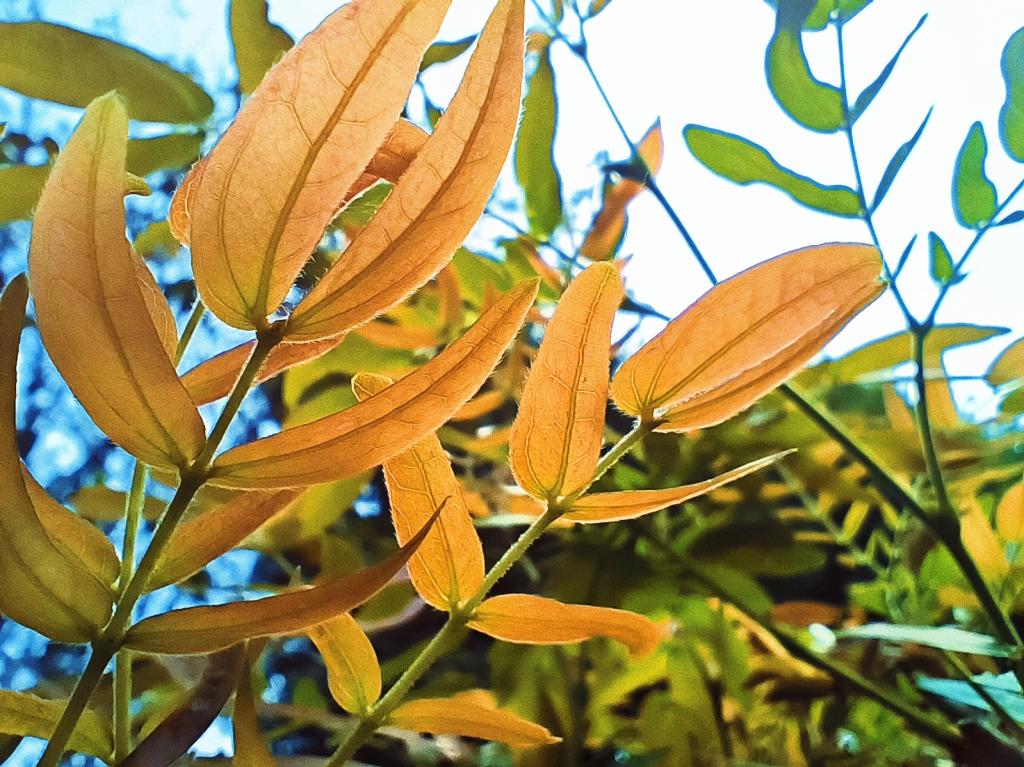 77779193永利集团