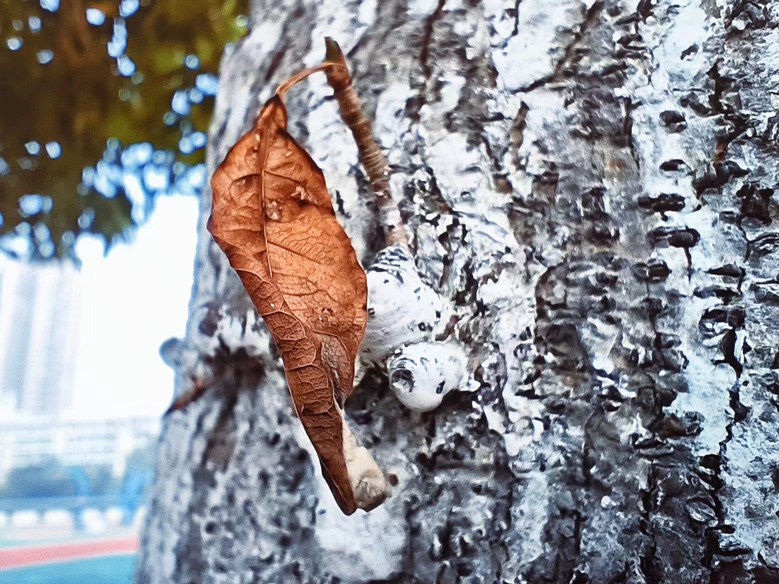 77779193永利集团