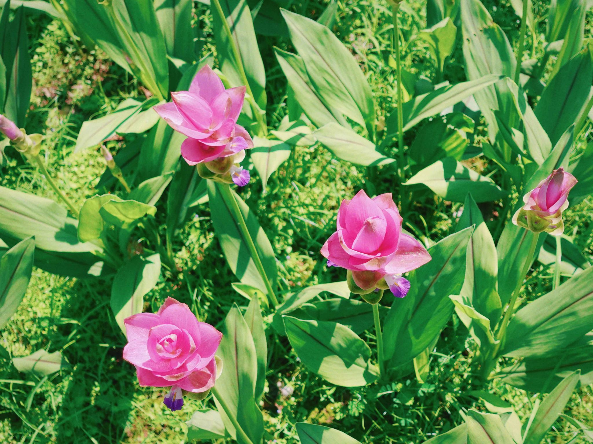 77779193永利集团