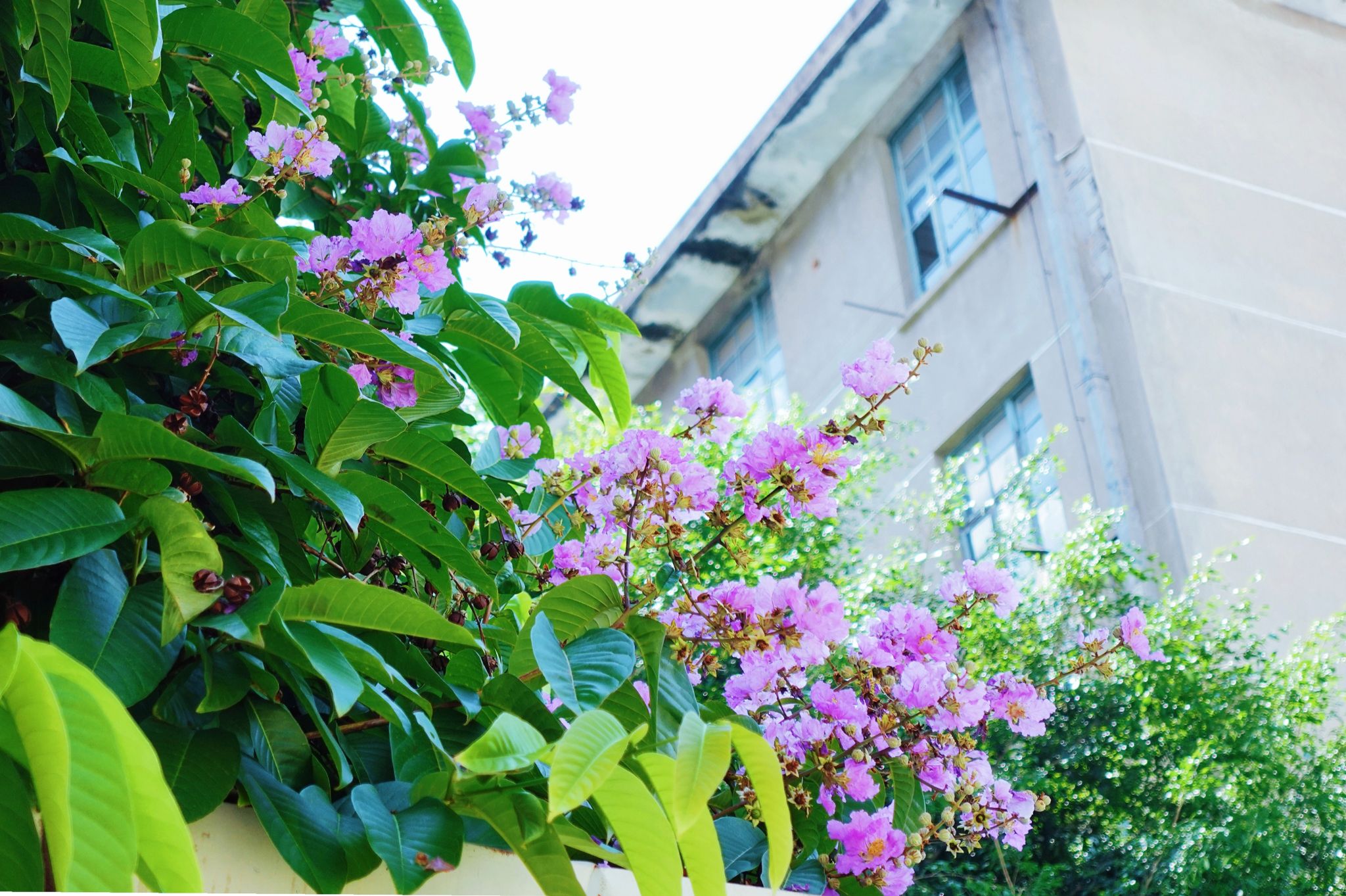 77779193永利集团