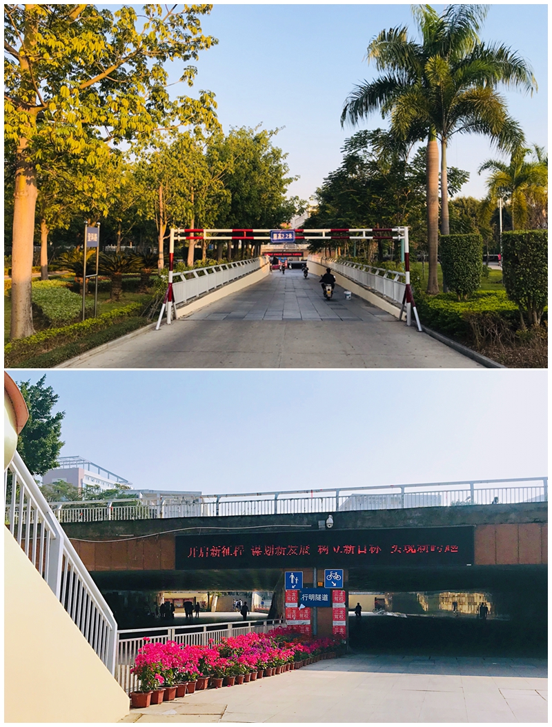 77779193永利集团