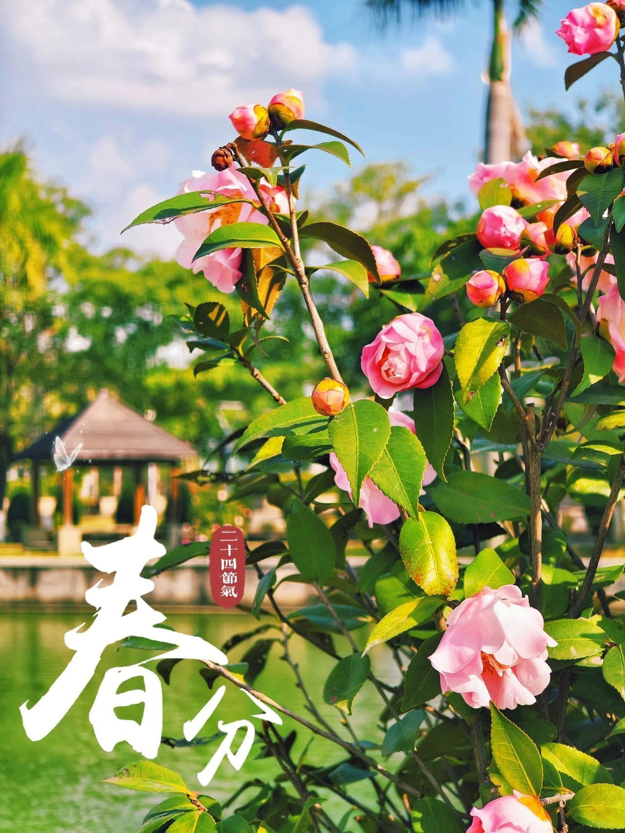 77779193永利集团