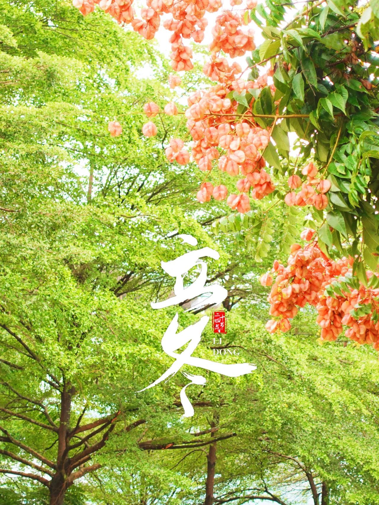 77779193永利集团