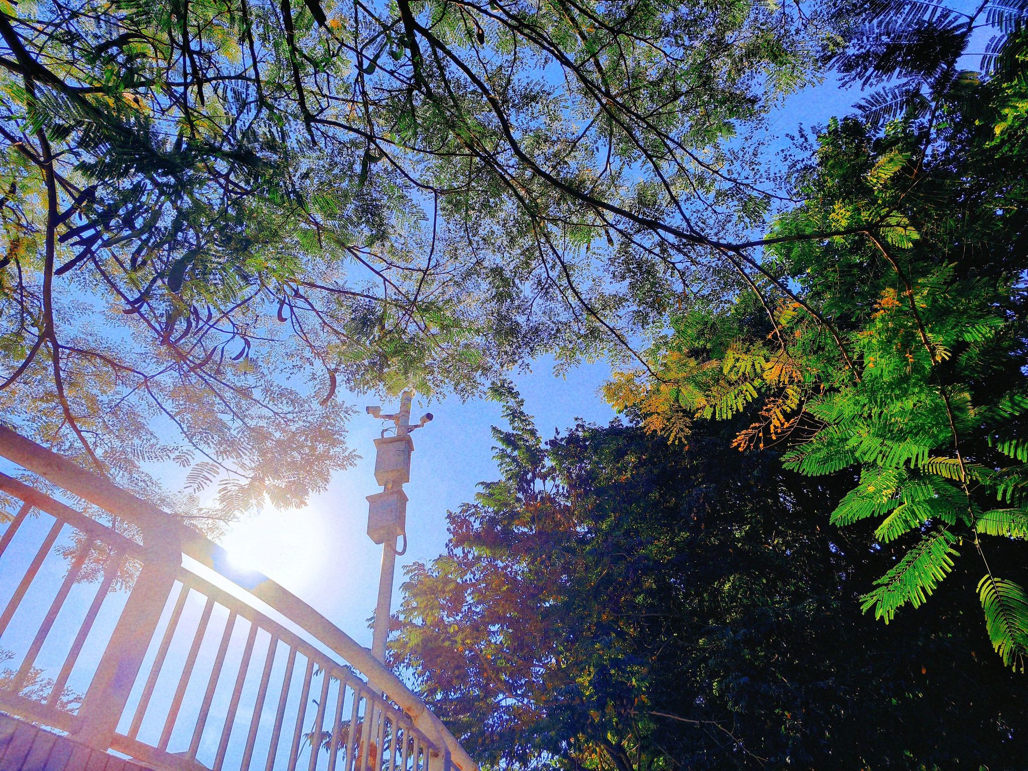 77779193永利集团