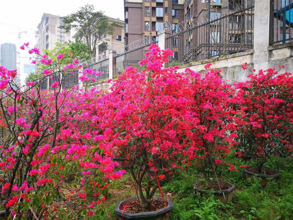 77779193永利集团