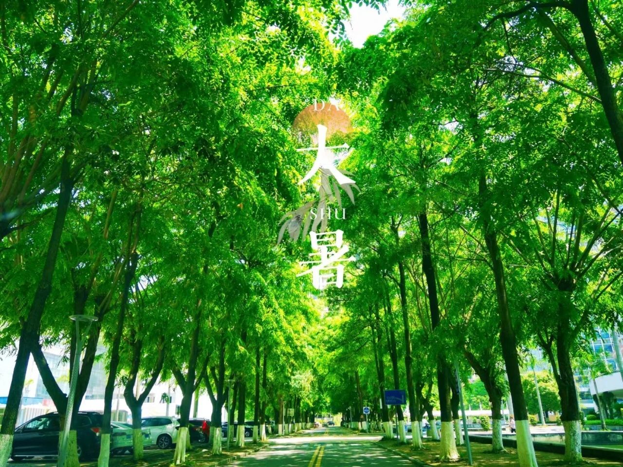 77779193永利集团