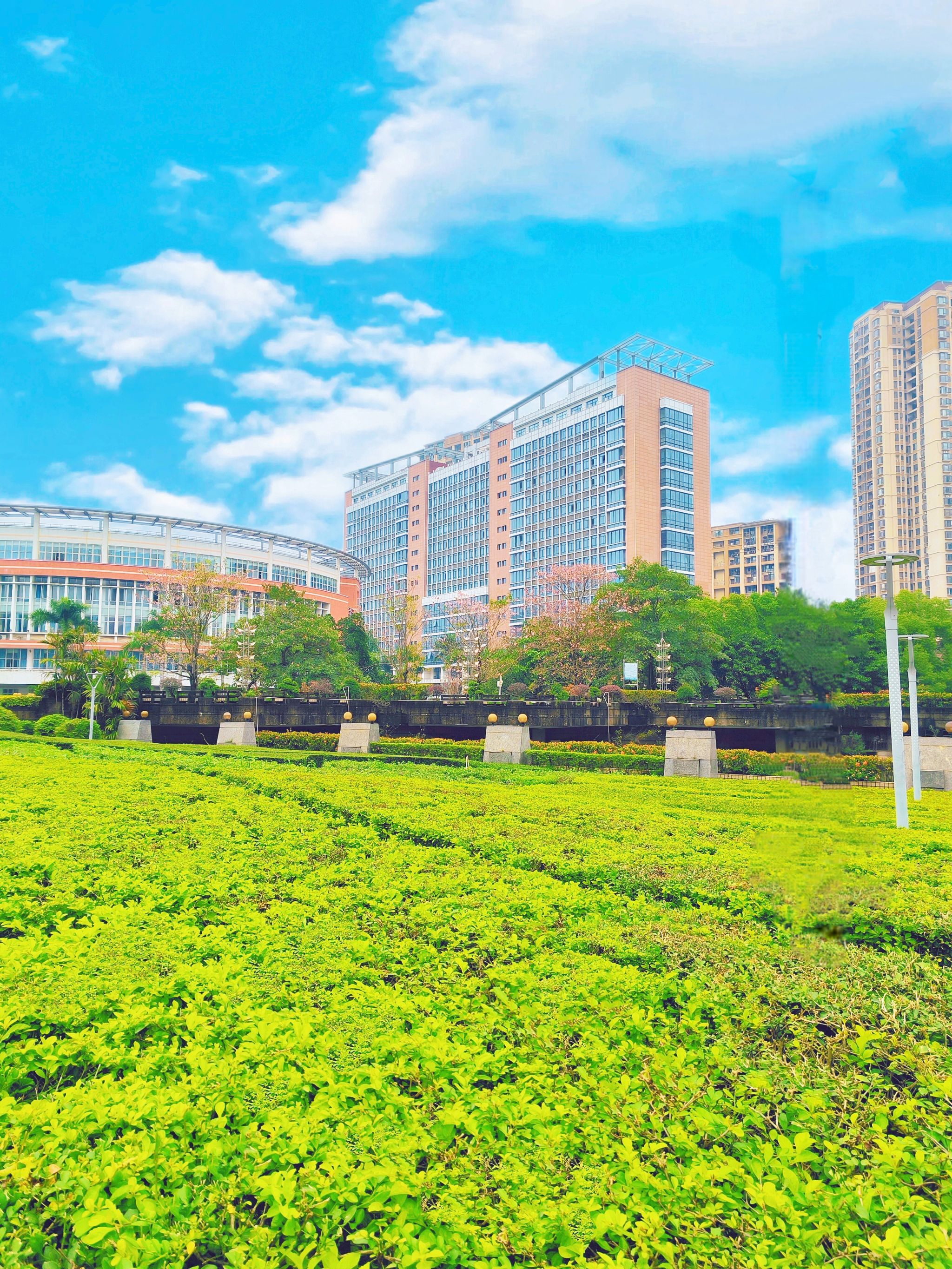 77779193永利集团