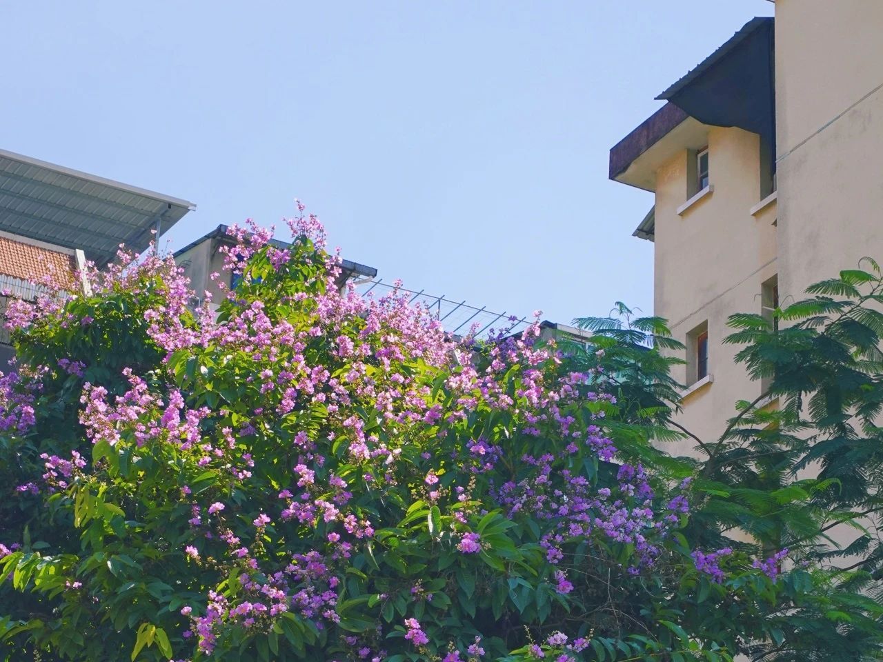 77779193永利集团