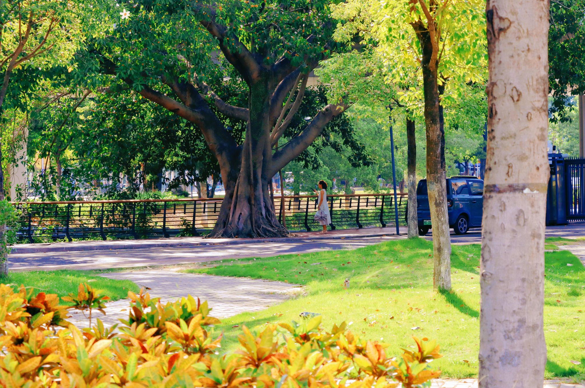 77779193永利集团