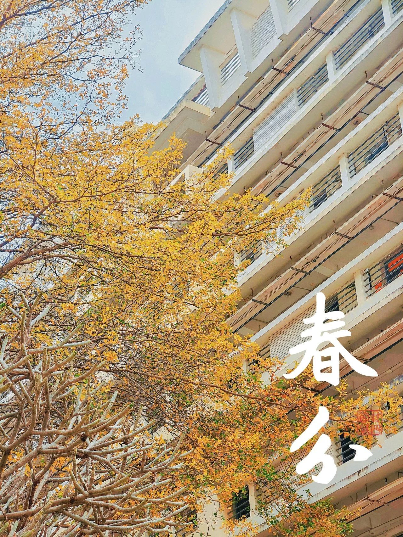 77779193永利集团