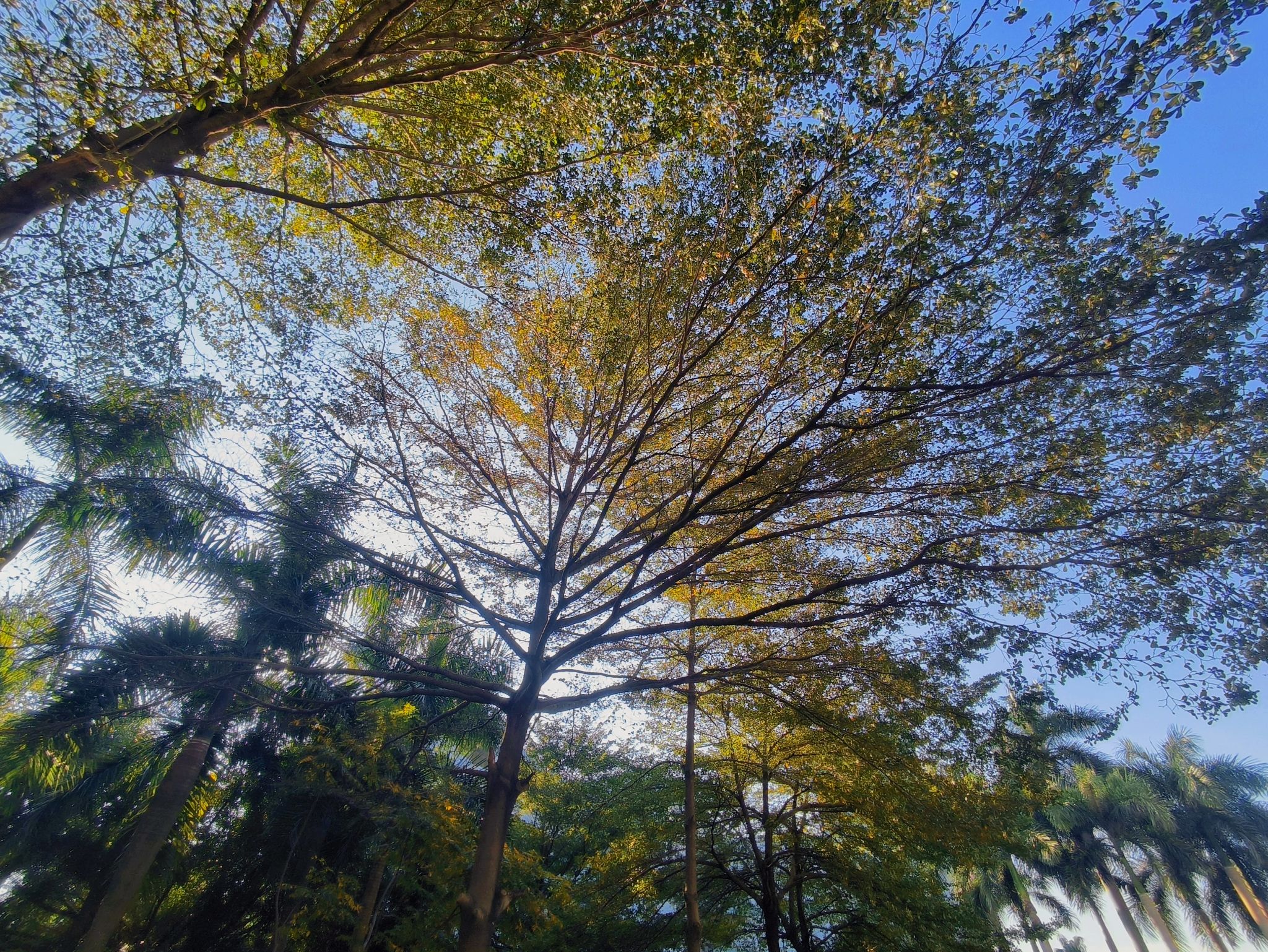 77779193永利集团