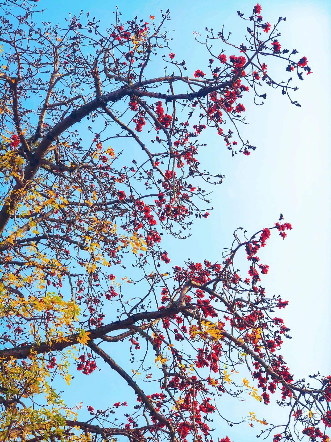 77779193永利集团